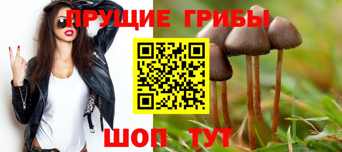 Псилоцибиновые грибы Psilocybine cubensis Юрга