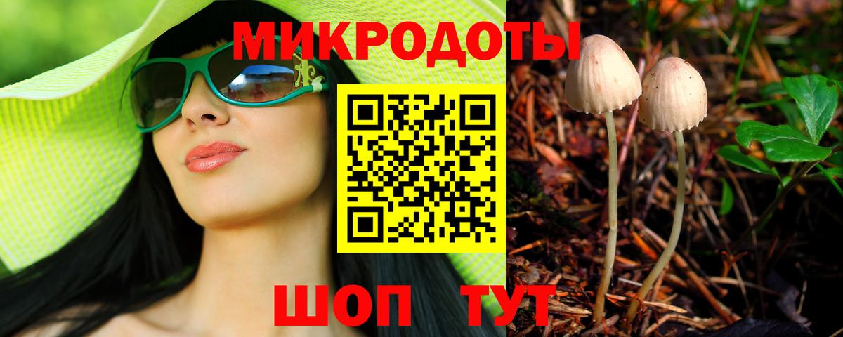 Галлюциногенные грибы Psilocybine cubensis  Вход с VPN  Юрга 